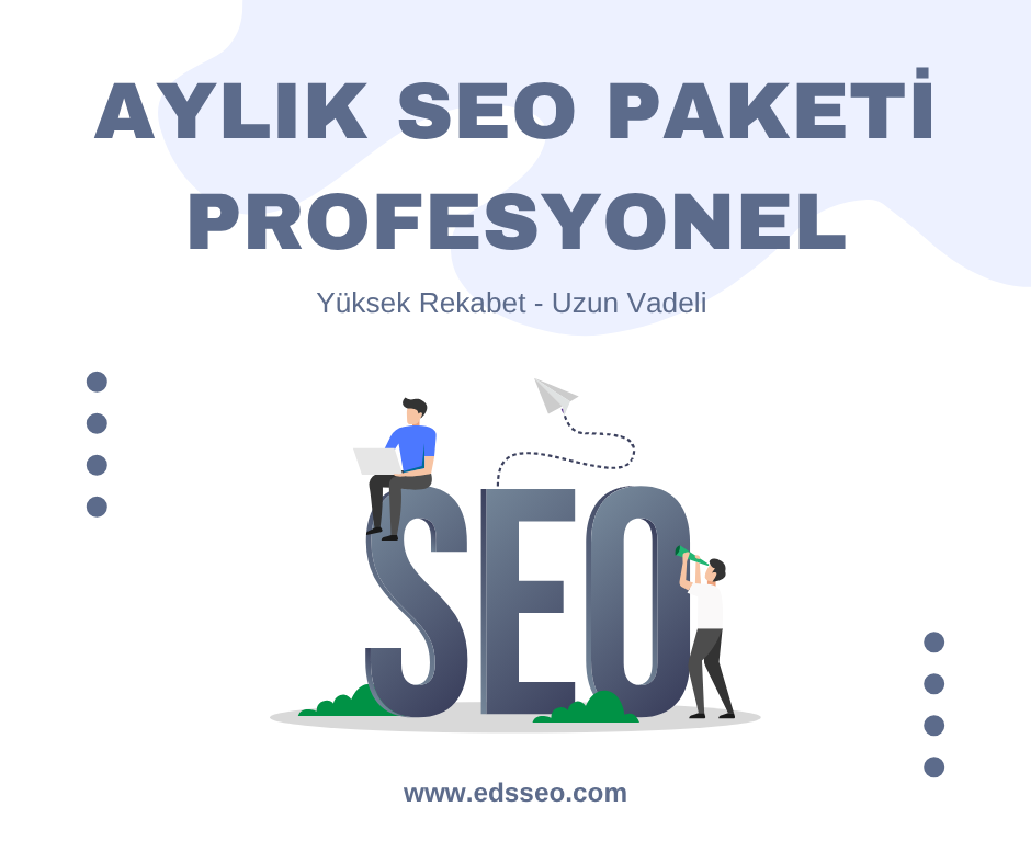 Aylık Seo Paketi - Profesyonel Paket